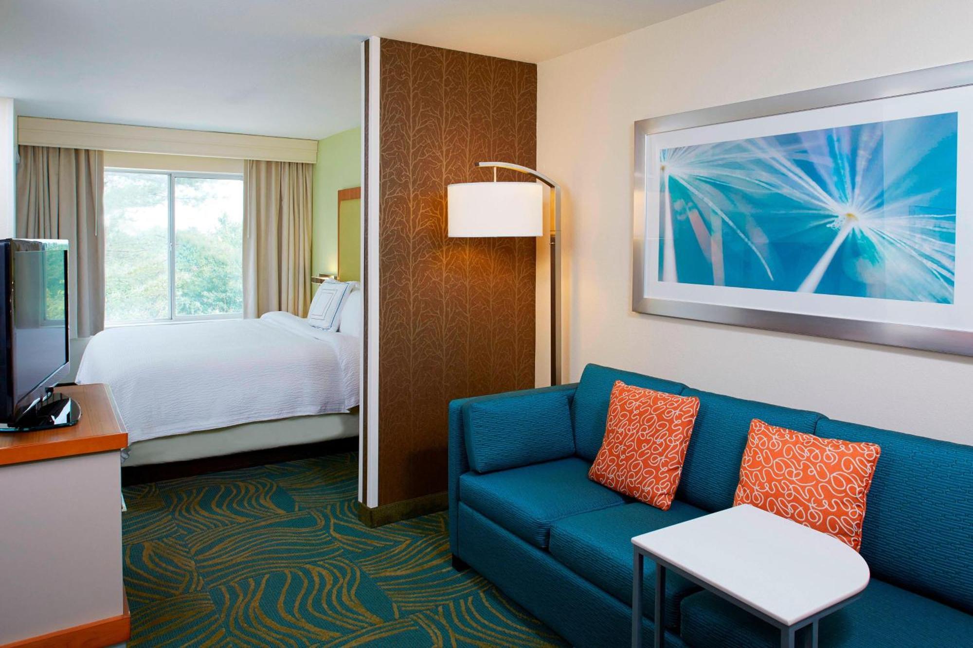 Springhill Suites By Marriott Atlanta Six Flags Lithia Springs Bagian luar foto