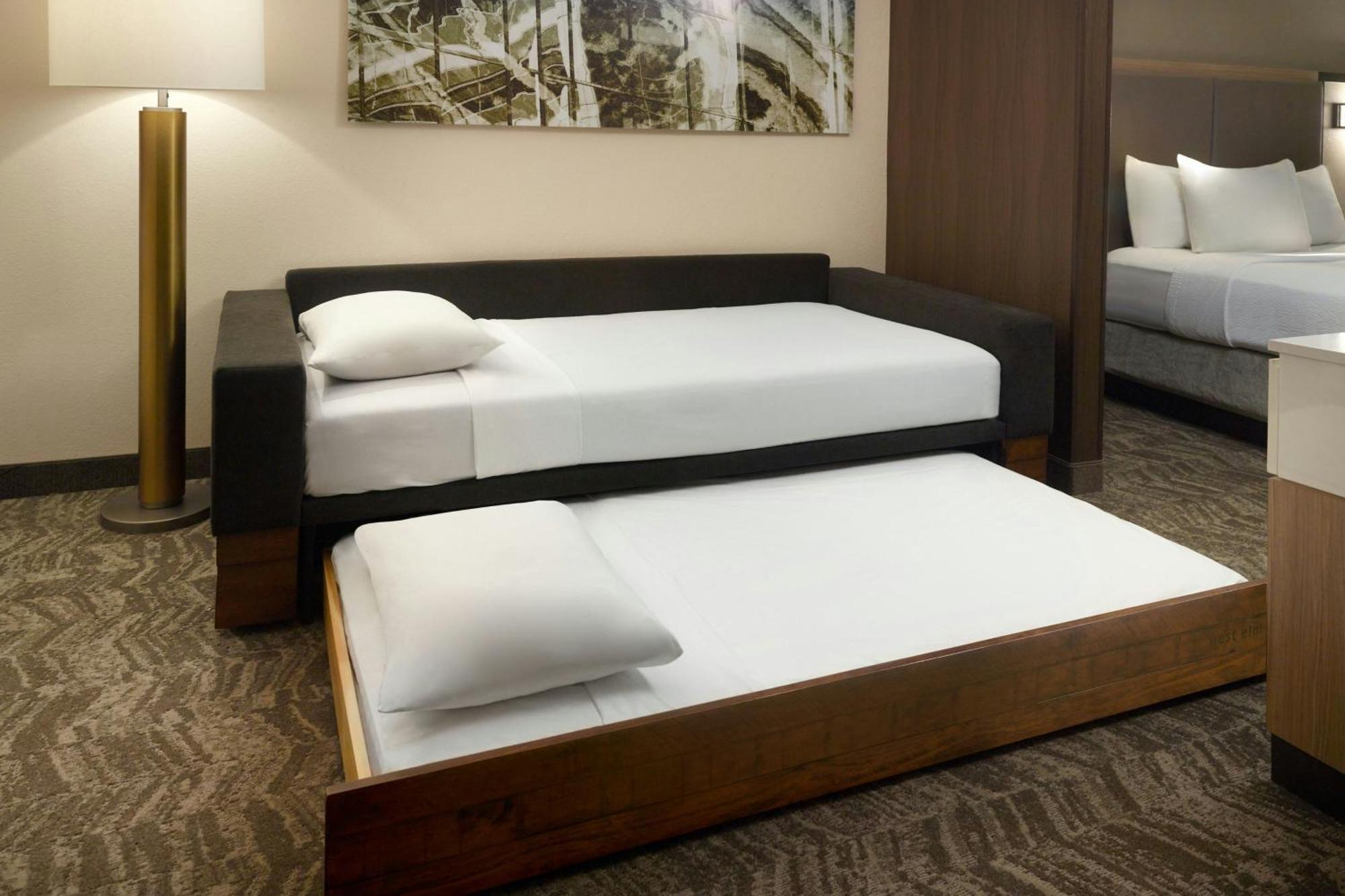 Springhill Suites By Marriott Atlanta Six Flags Lithia Springs Bagian luar foto